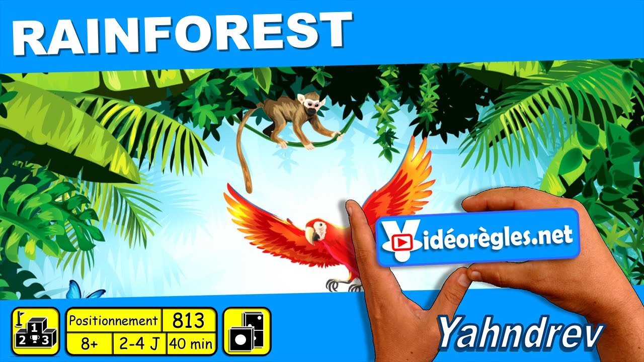 Vidéorègle Jeu de Société 