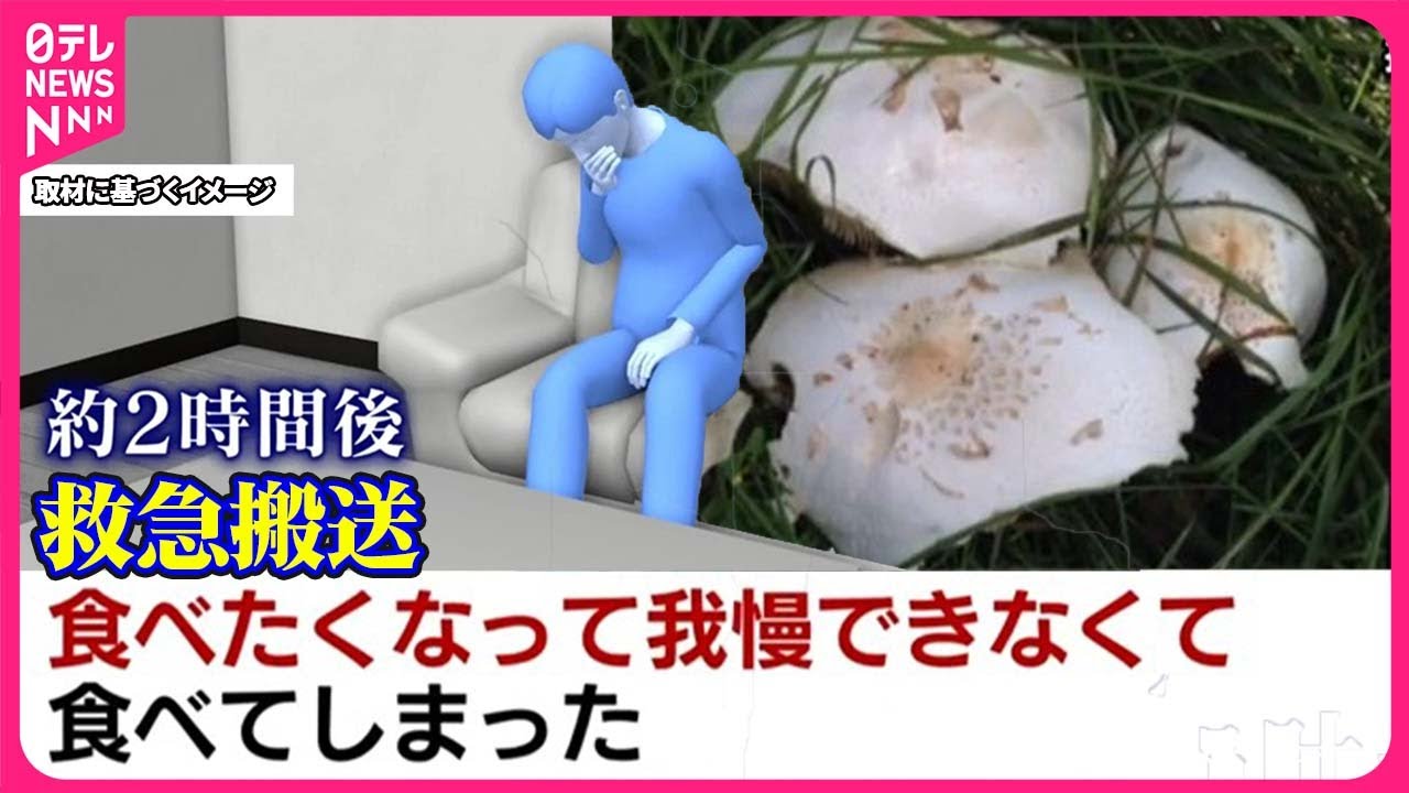 【毒キノコで救急搬送】「立派なキノコで我慢できず…」