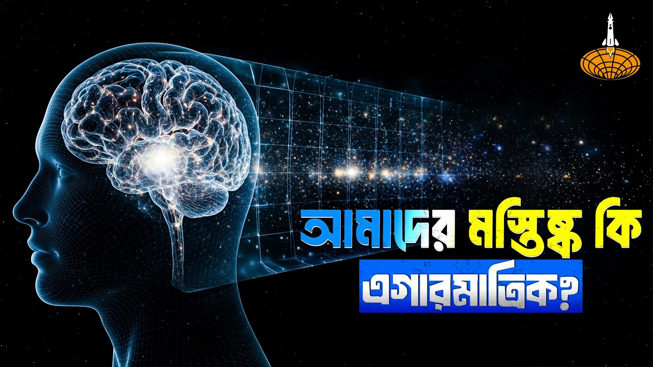 আমাদের মাথার ভেতরে কি ১১টি মাত্রা লুকিয়ে আছে? Your brain isn’t 3D. It’s 11-Dimensional.