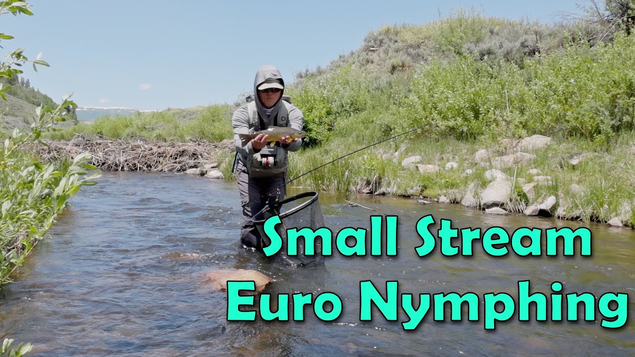 Euro Nymphing a Small Stream with Quality Brown Trout
