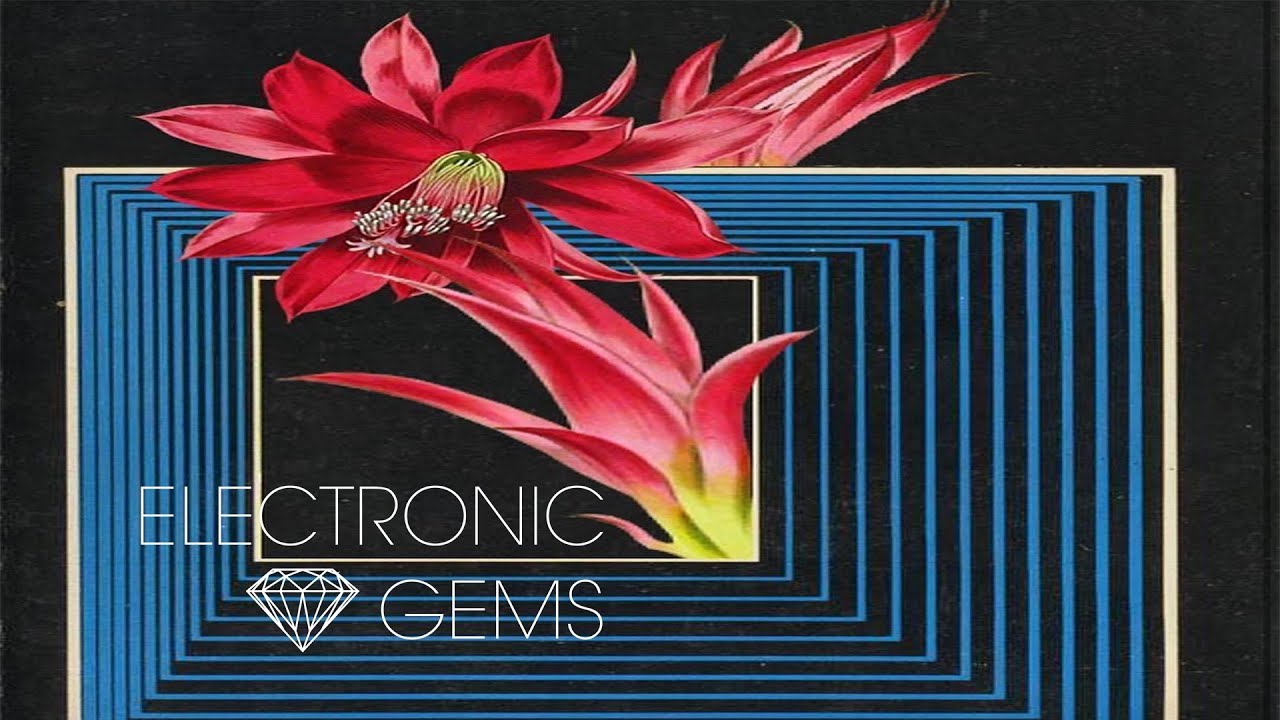 Voyage & Tape Arcade - Anemone Symphony
