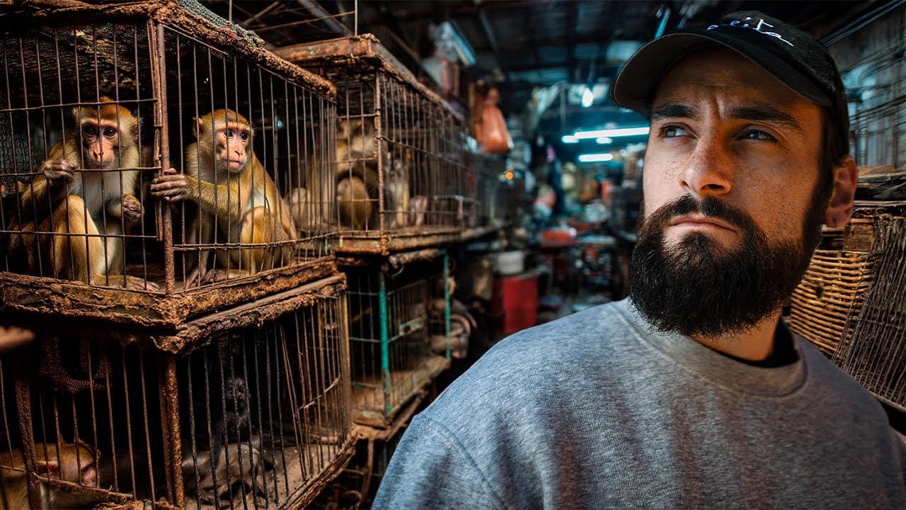 Me Infiltré en el MERCADO NEGRO de ANIMALES en Asia