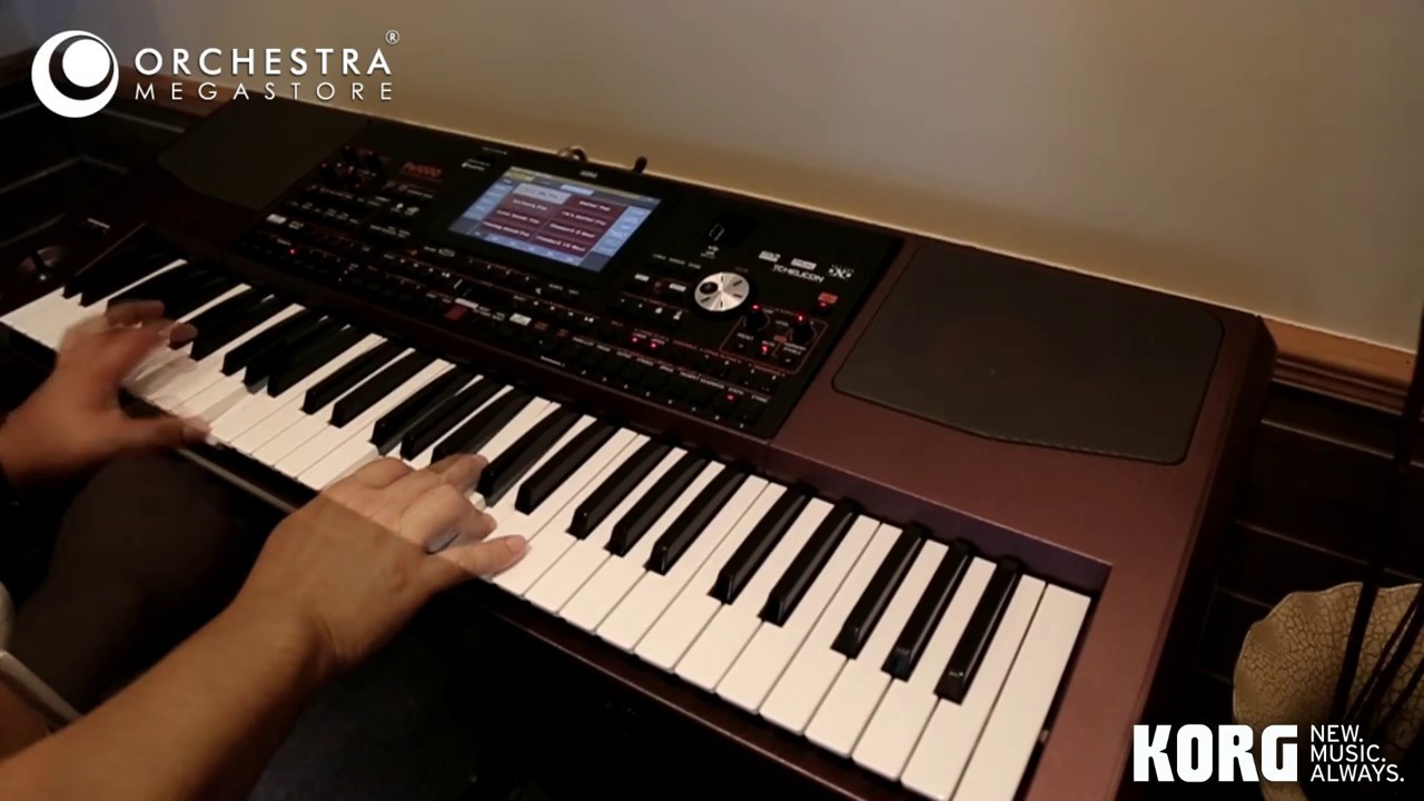 Korg Pa1000 - 61-key Professional Arranger Keyboard