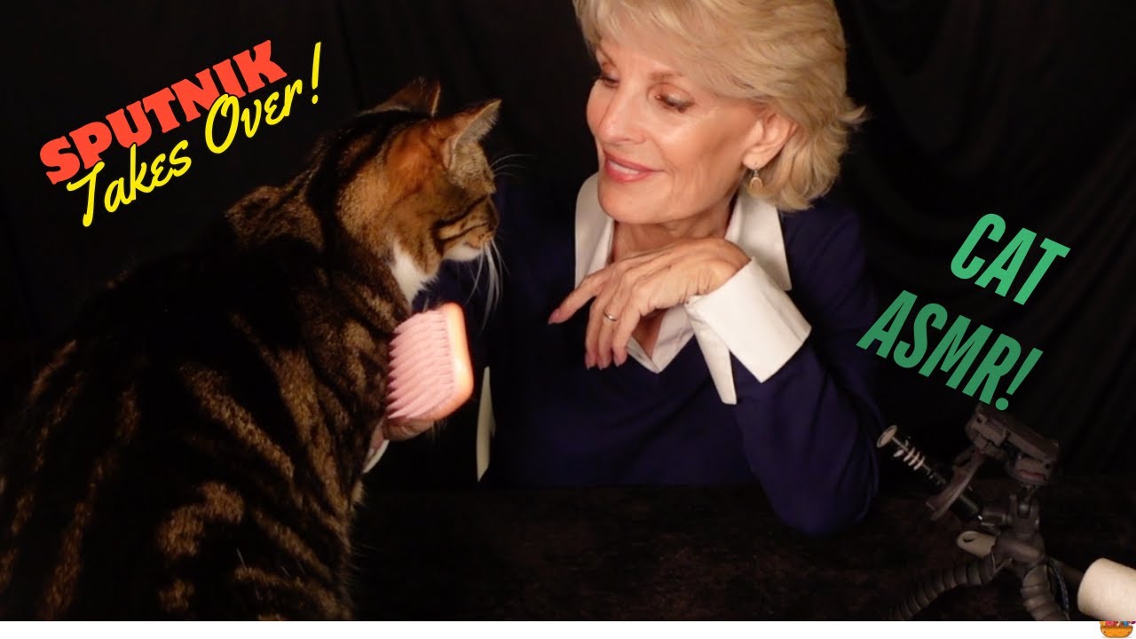 UNEXPECTED #ASMR COLLAB WHEN SPUTNIK THE CAT TAKES OVER!