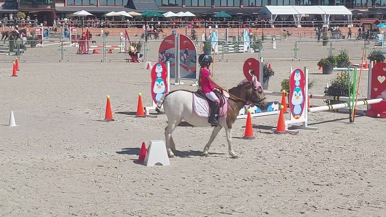 GOF - LAMOTTE 2025 - EQUIFUN A MOUSTIQUE 