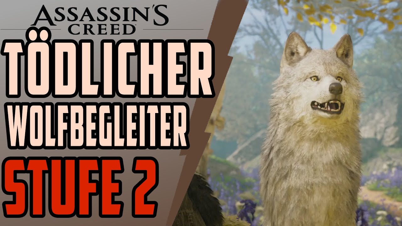 Assassins Creed Valhalla Guide - Wolf Begleiter Volles Upgrade - Bester Freund des Menschen 2