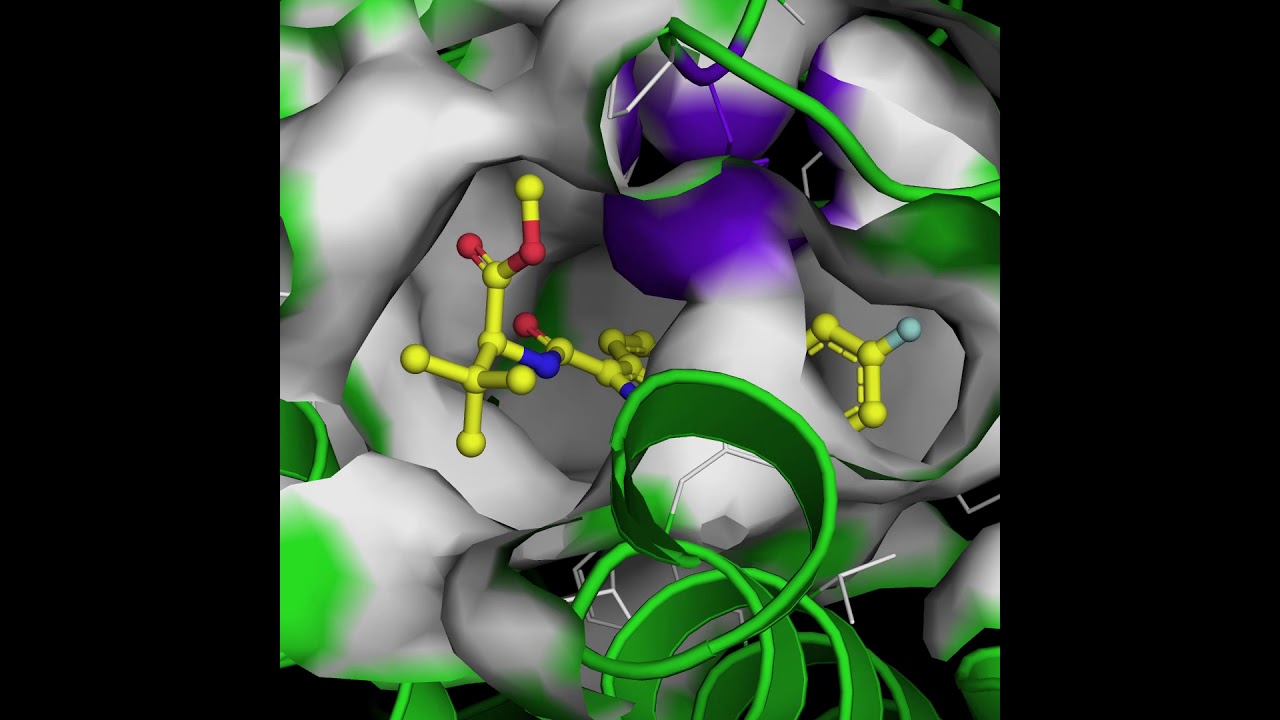 CB1 in complex with Gi and MDMB-Fubinaca