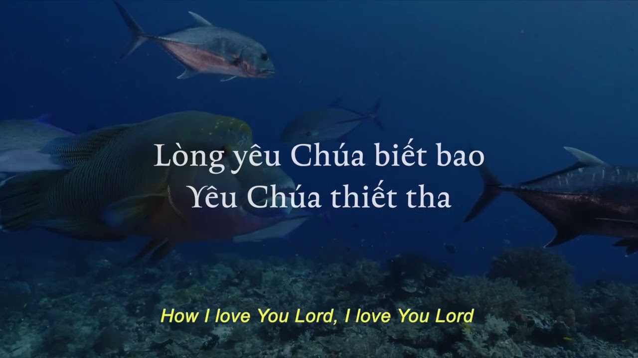 (Audio lyrics) CHÌM SÂU TRONG YÊU THƯƠNG - YÊU CHÚA BIẾT BAO (DEEPER IN LOVE/ HOW I LOVE YOU LORD)