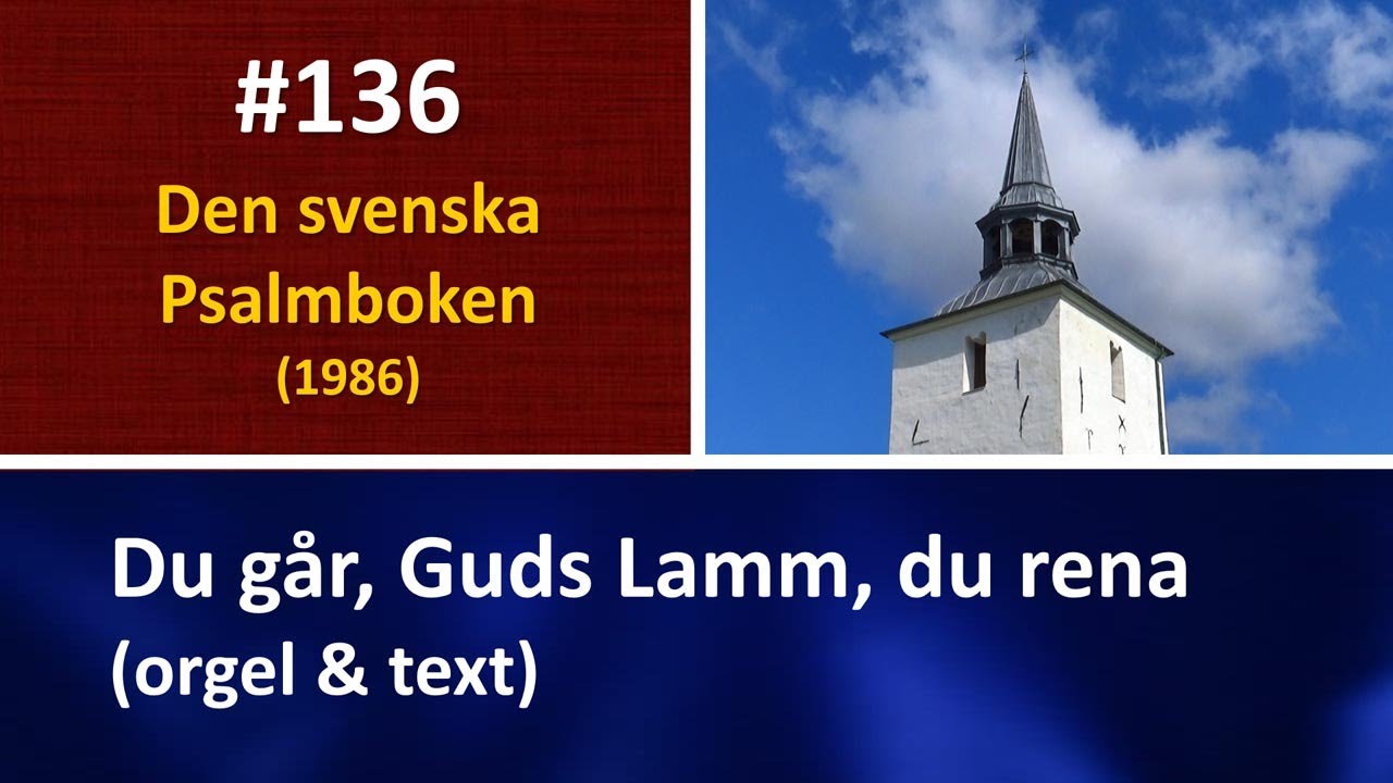 (Sv. Ps. 136) Du går, Guds Lamm, du rena (orgel & text)