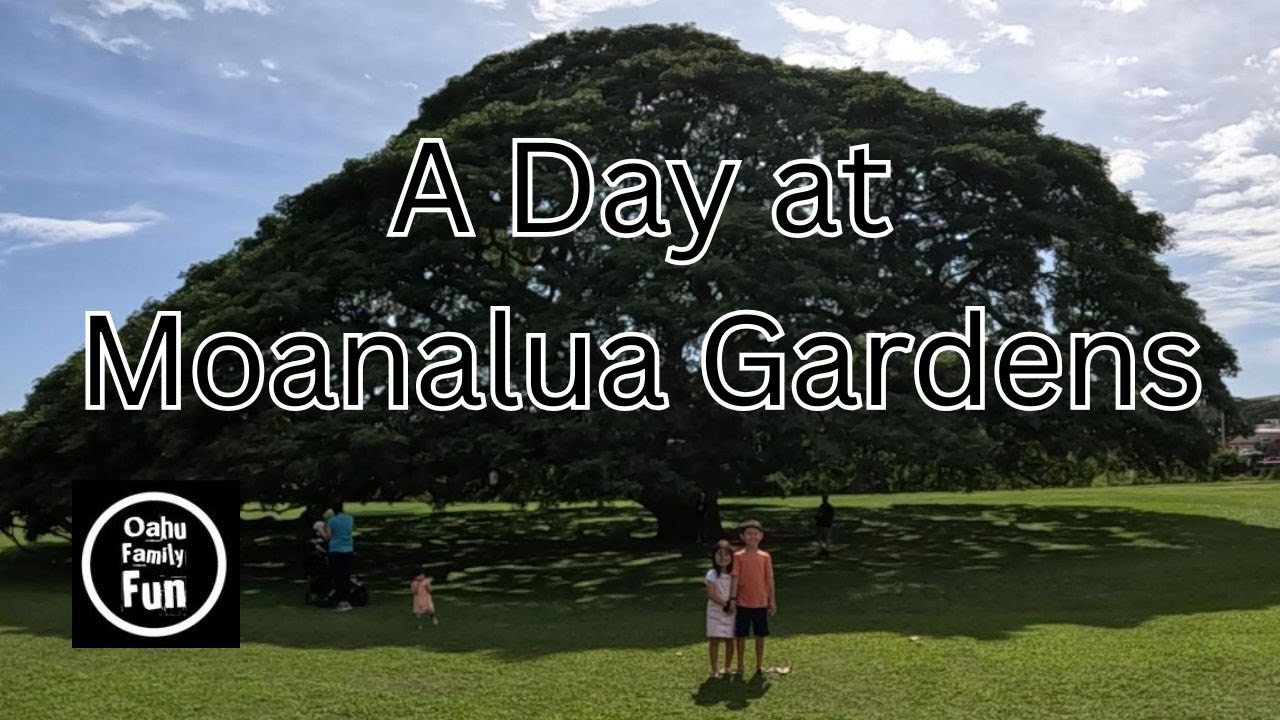 Kids Love This Oahu Park: Moanalua Gardens Walking Tour