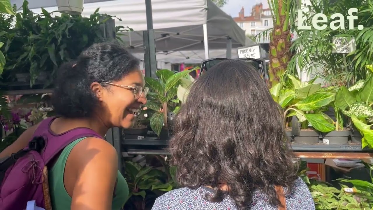 R302 - Reportage La Centrale jardinerie