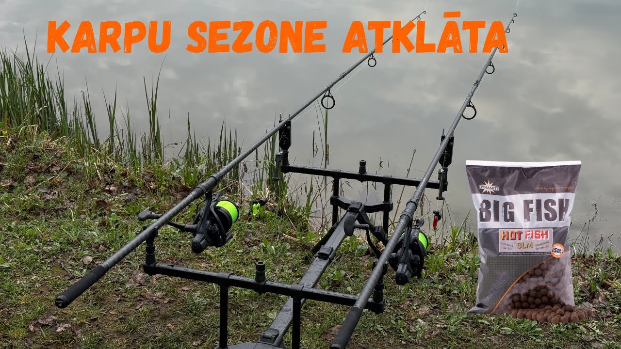 Pirmā karpu cope sezonā! Karpu cope berga dīķī!!!