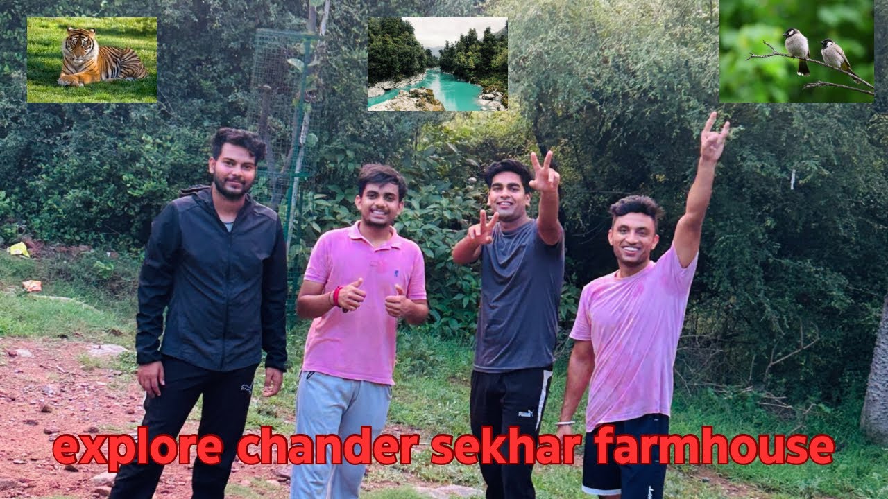 Historical village bhondsi| chander sekhar farm house🤔| explore the chandersekhar farm house 👍