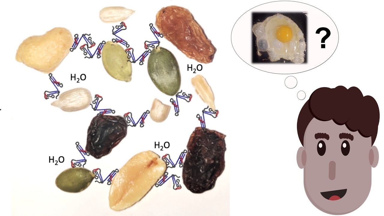 How Egg White Ovalbumin Binds Foods Together