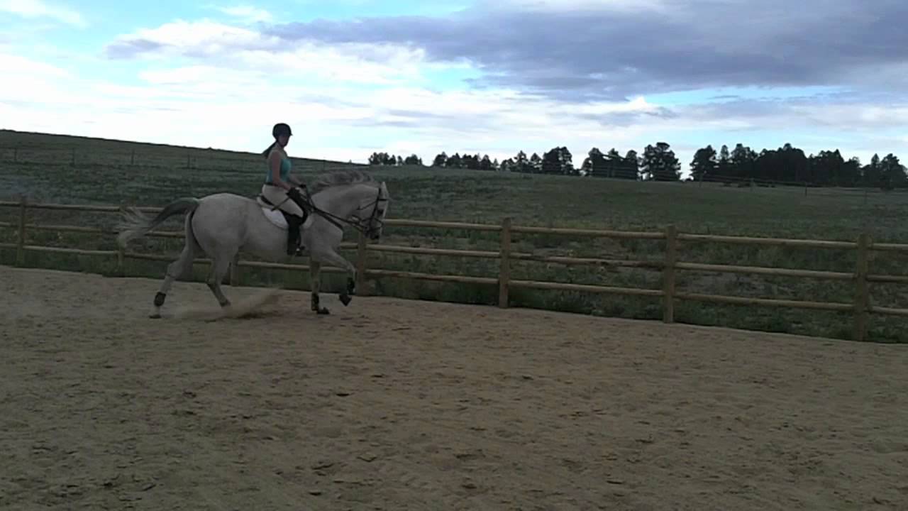 A Lesson on Cantering and Leads