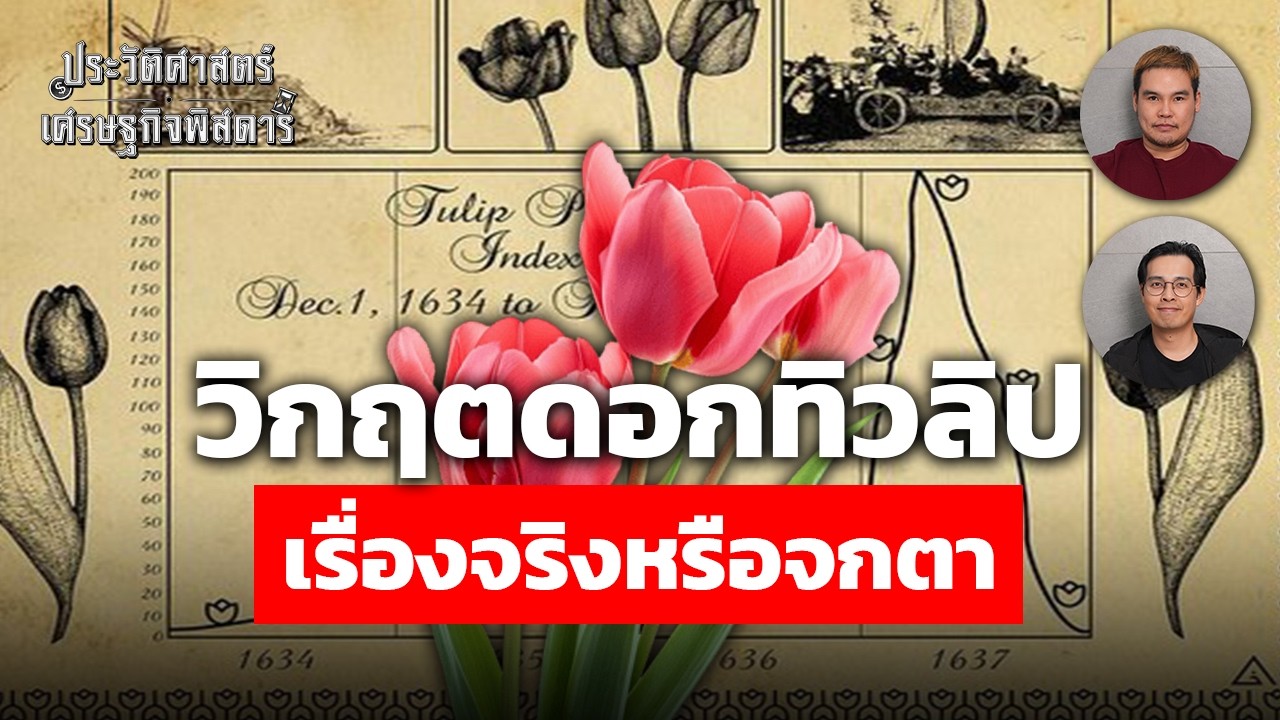 วิกฤตดอกทิวลิป เรื่องจริงหรือจกตา | ประวัติศาสตร์เศรษฐกิจพิสดาร EP.7