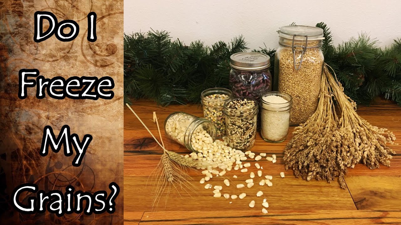 Do I Freeze My Grains?