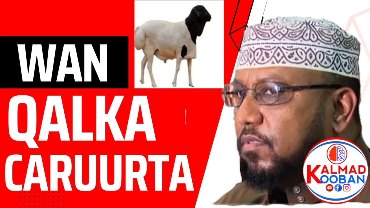 WAN QALKA CARUURTA: Sidee loogu wan qalaa caruurta. Sheekh Dr. Ali Mohamed Salah.