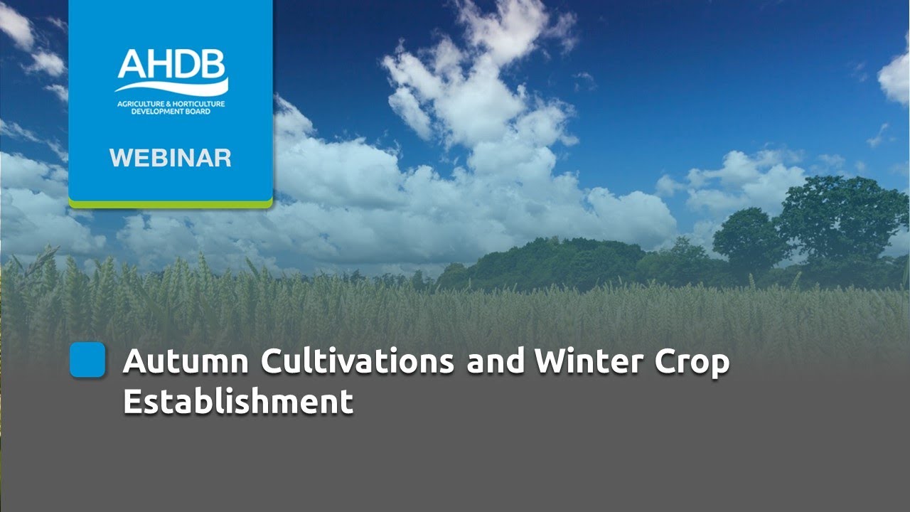 Autumn cultivations and winter crop establishment
