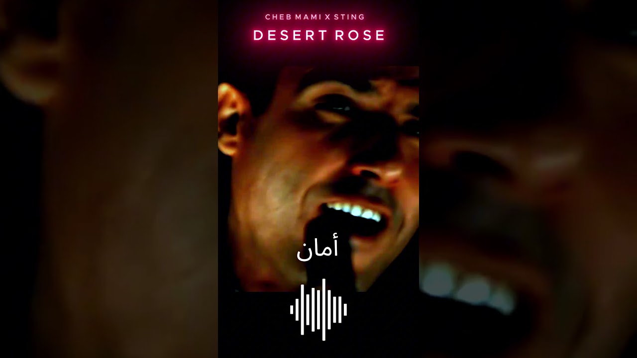 Desert Rose Cheb Mami Sting  😎🔥#duo #rai #dz #alg&eacute;rie