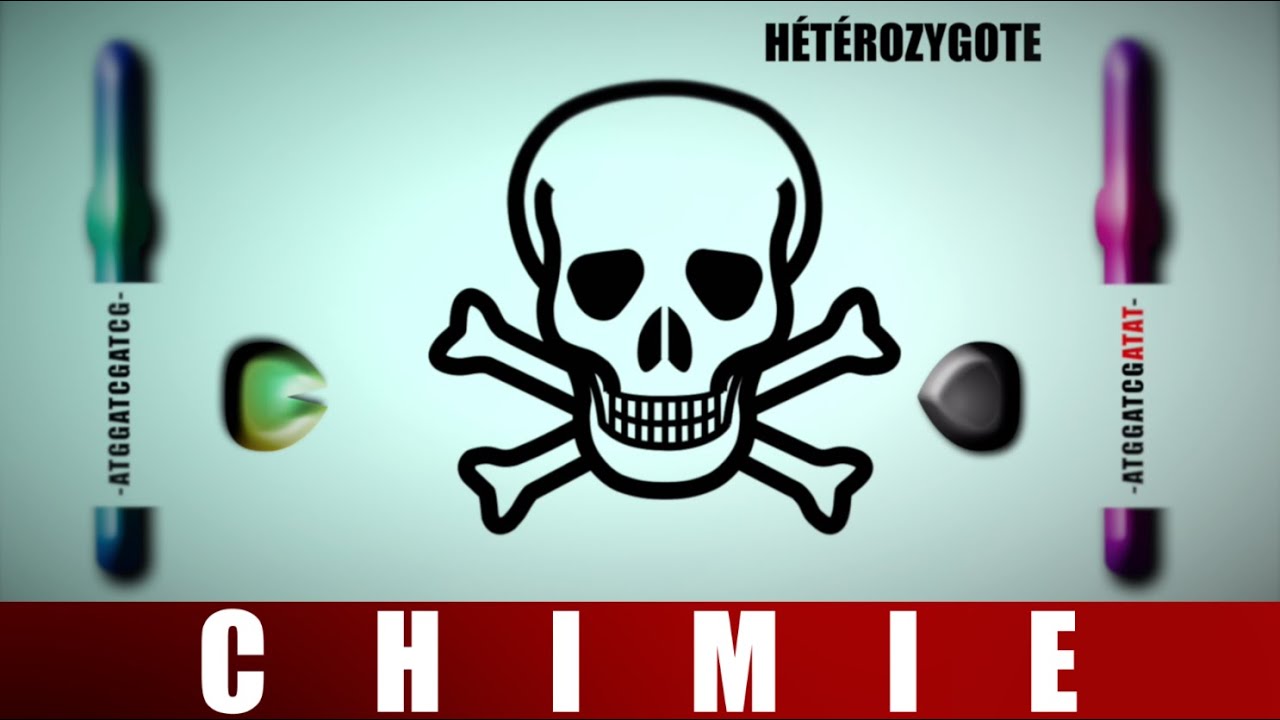 [UE7] Homozygote/h&eacute;t&eacute;rozygote & r&eacute;cessif/dominant/caryotype