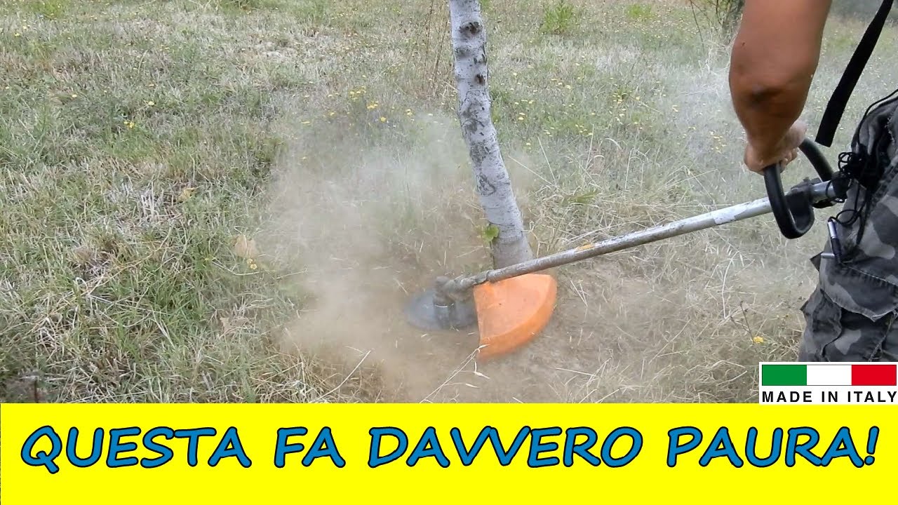 Testina per decespugliatore CAROSELLO. Pulisce intorno ai tronchi SENZA ROVINARLI! Macina tutto!