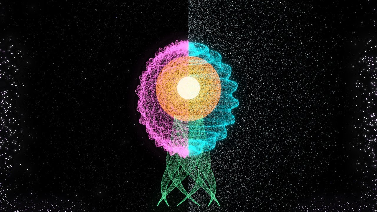 Realtà: cosa vedi davvero senza il tuo cervello?