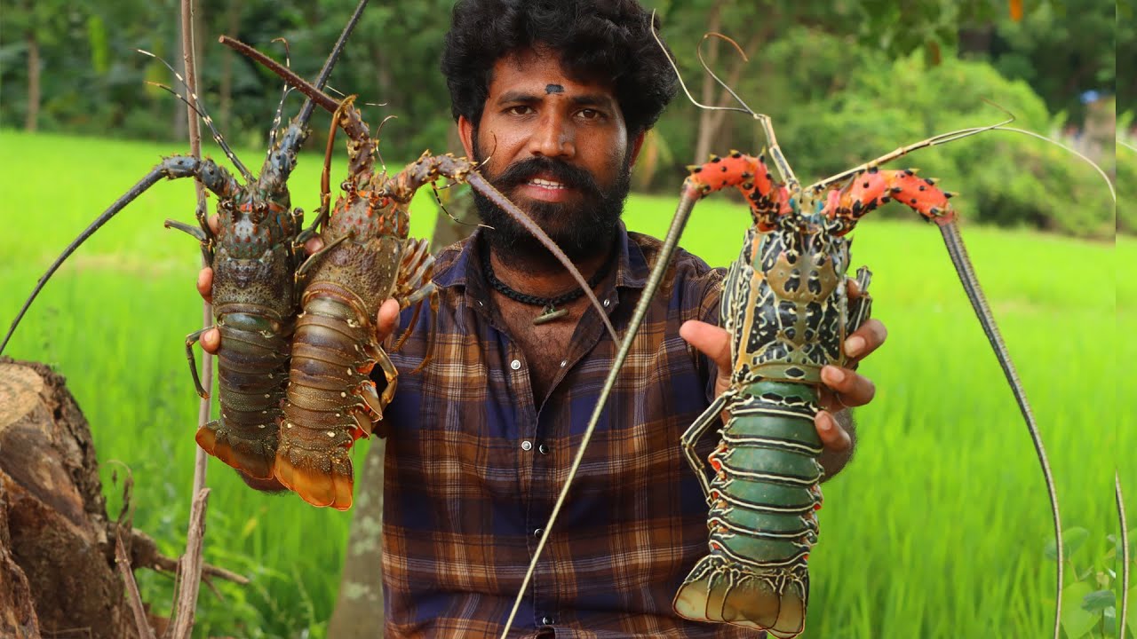 BIG LOBSTER | Lobster Fry Cooking and Eating In Village | Lobster Recipes with Indian Masala WORLD
