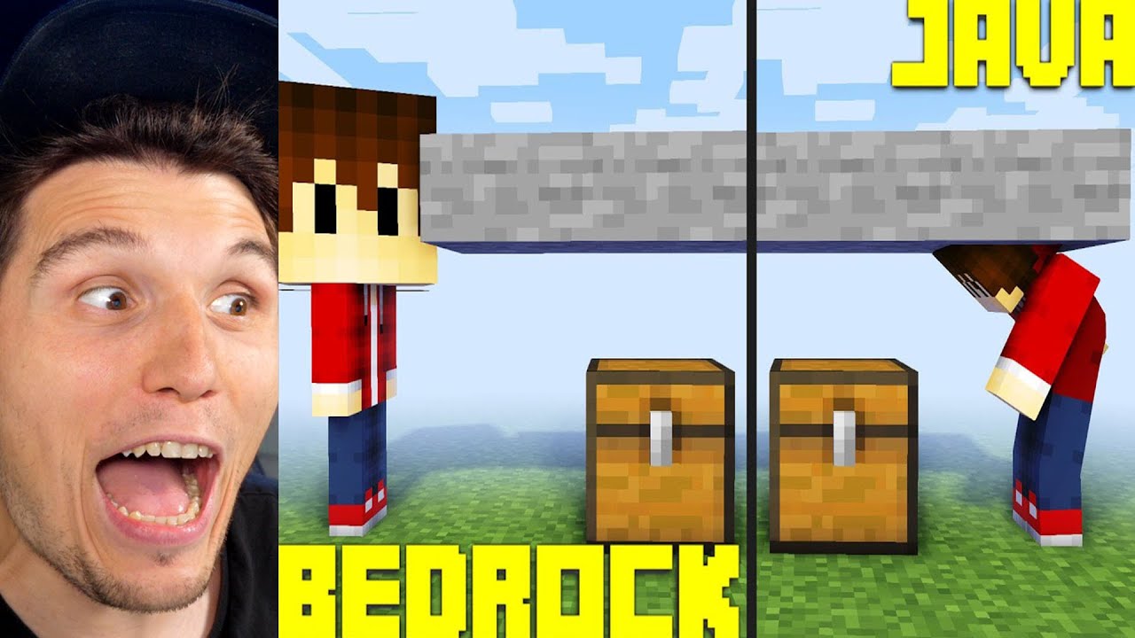 Paluten REAGIERT auf 20+ Java vs Bedrock Dinge in Minecraft