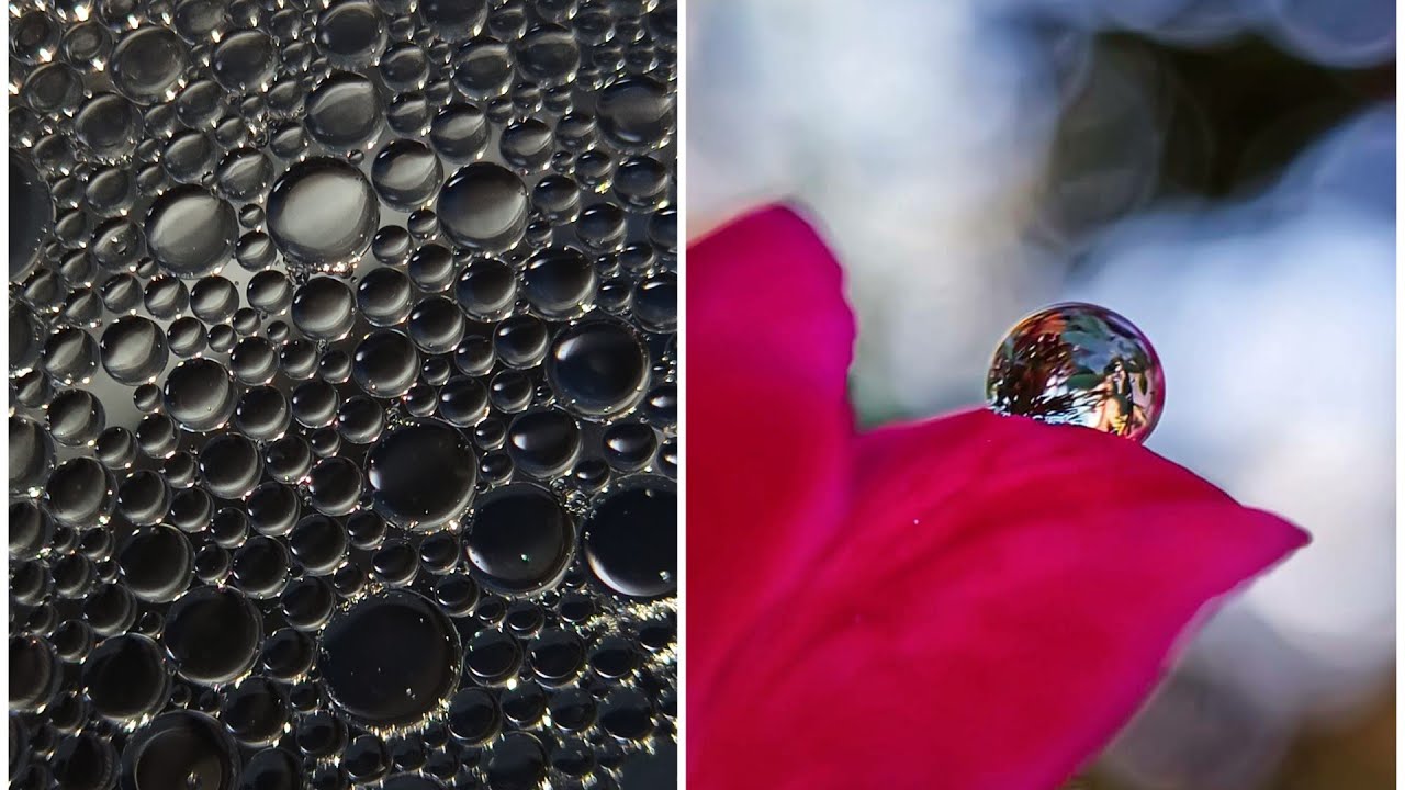 Quarantine Macro Mobile Photography Ideas || 5 Creative Mobile Photography Ideas