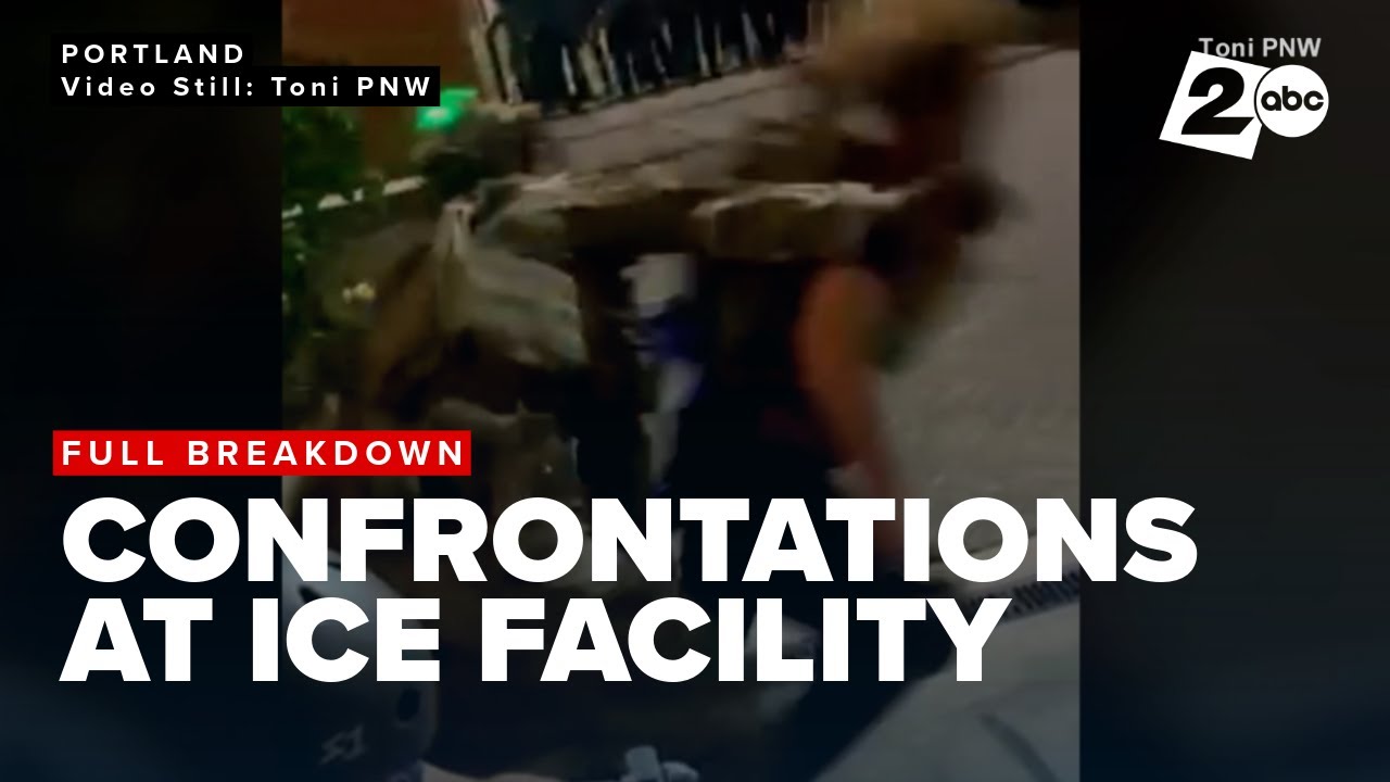 Protester alleges he was battered and assaulted by ICE agents in Portland, Oregon: A breakdown