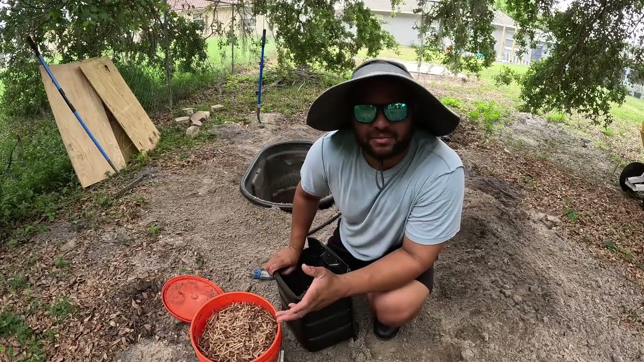 Final Worm Bin Setup