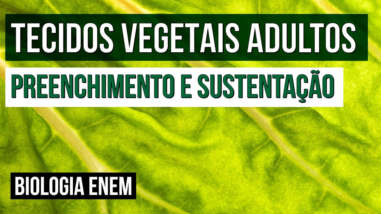 TECIDOS VEGETAIS ADULTOS: preenchimento e sustentação | Biologia para o Enem | Cláudia  Souza Aguiar