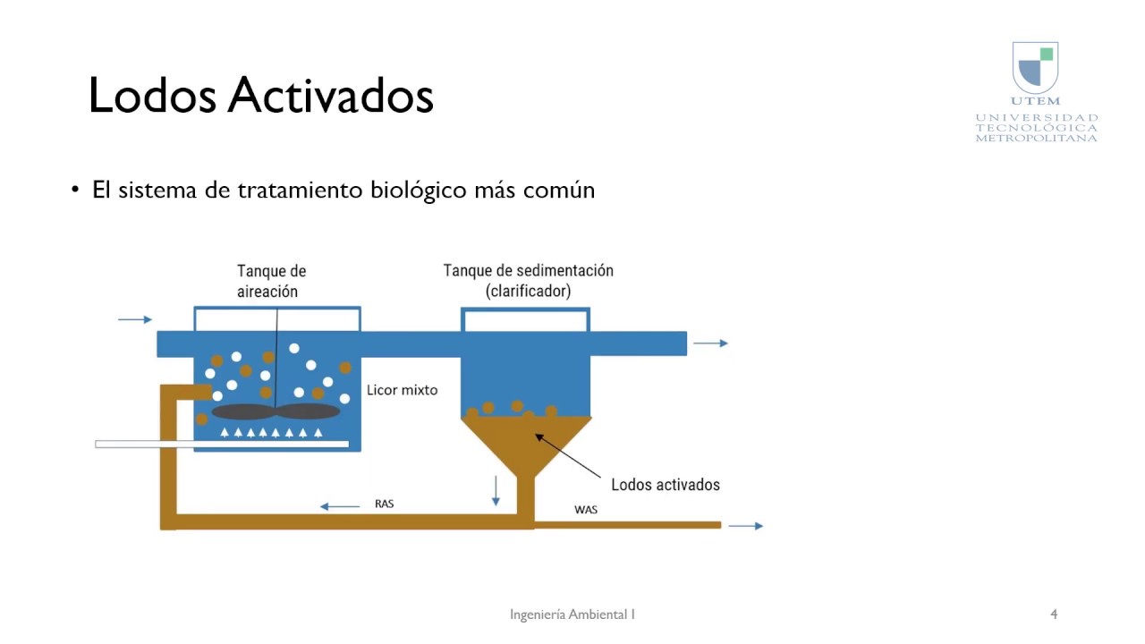 Ingeniería Ambiental - Dimensionamiento de Lodos Activados