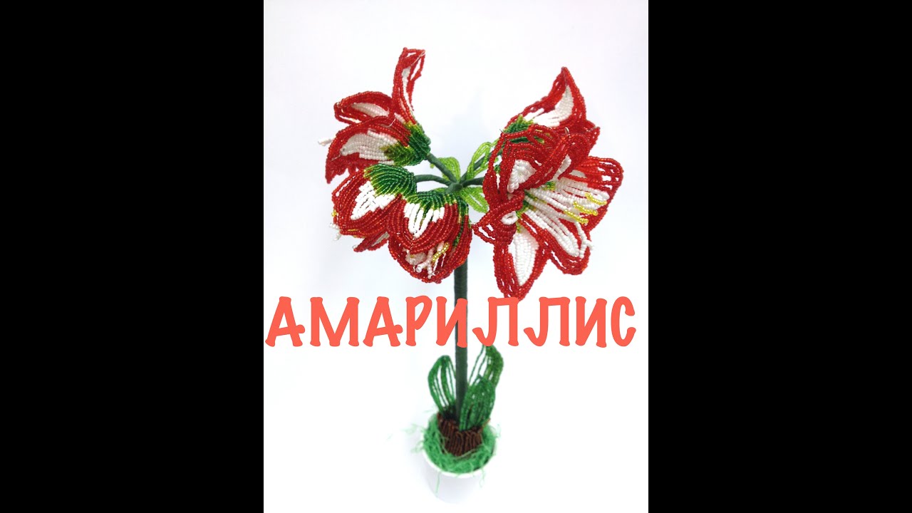 МК: ГИППЕРАСТРУМ / АМАРИЛЛИС из бисера. Часть 1/5. Tutorial: AMARYLLIS out of beads