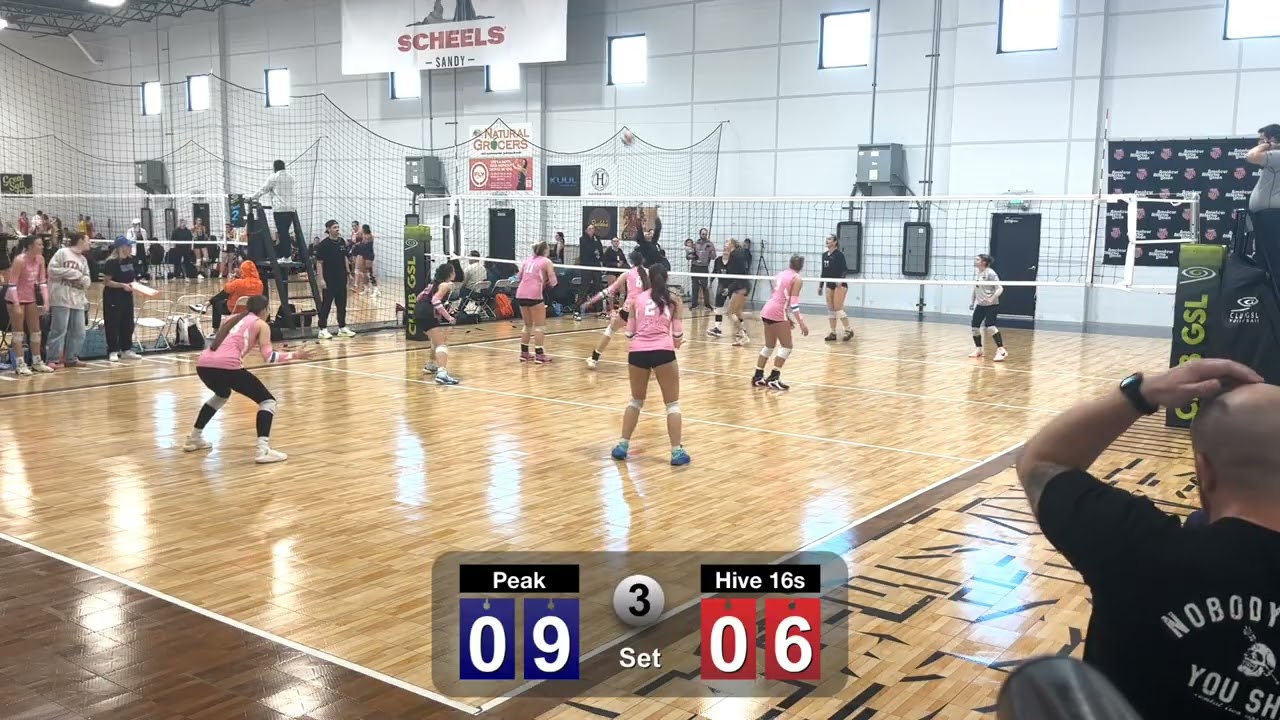 vs Hive 16's Set 3