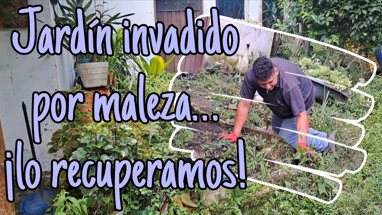 Jardín invadido por maleza… ¡Mira la transformación! 🌿✨