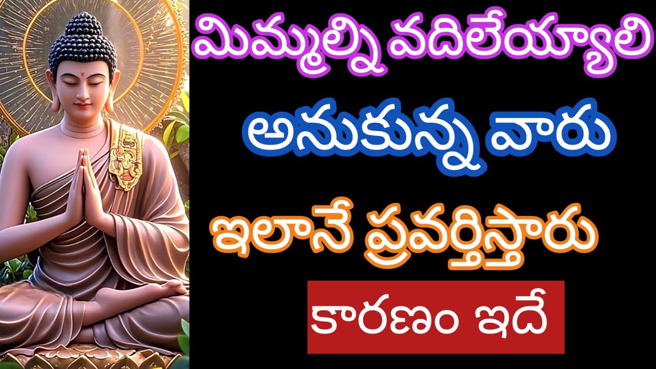 మిమ్మల్ని వదిలెయ్యాలి అనుకొనే వారు ఇలా ప్రవర్తిస్తారు |budda motivetional quote |life qoutes