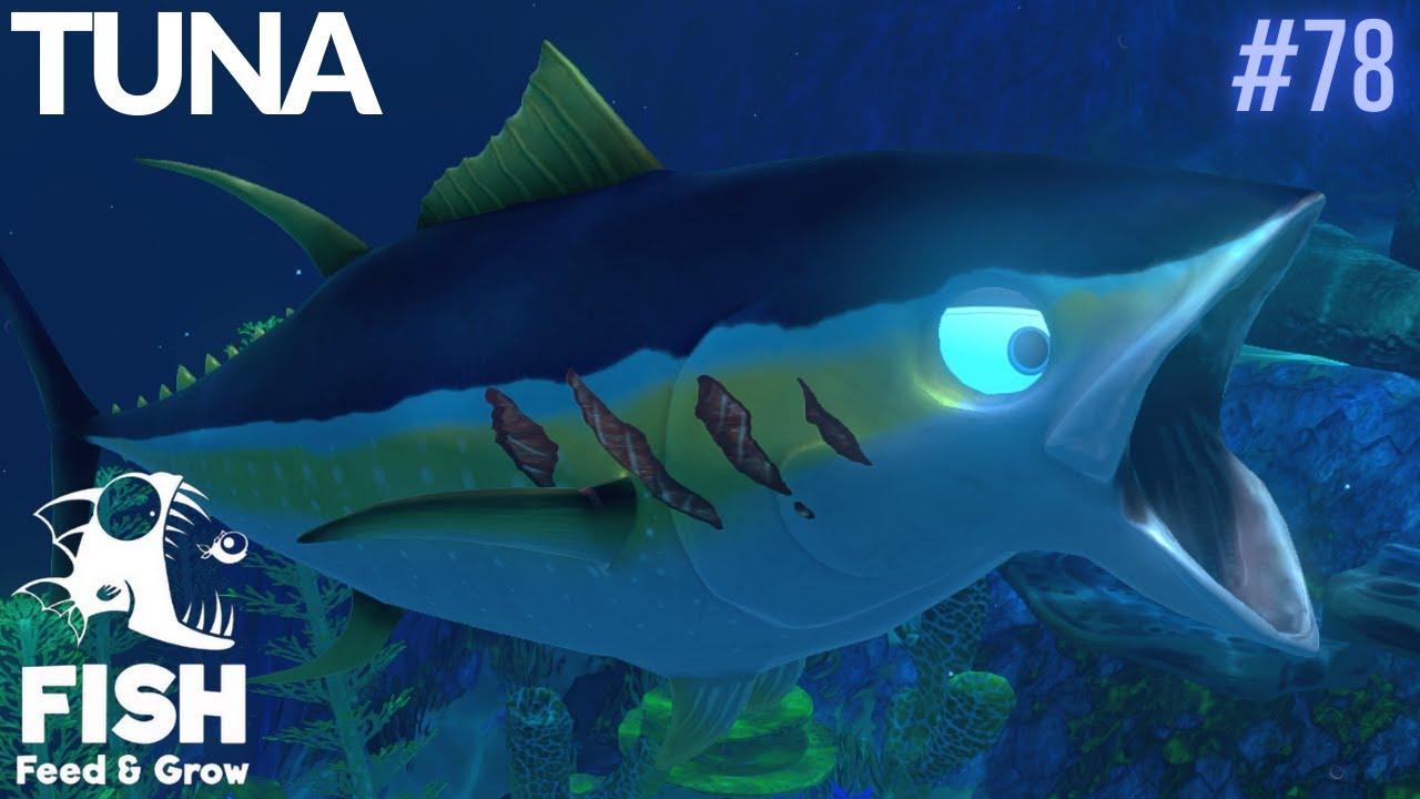 Feed And Grow Fish : Tuna