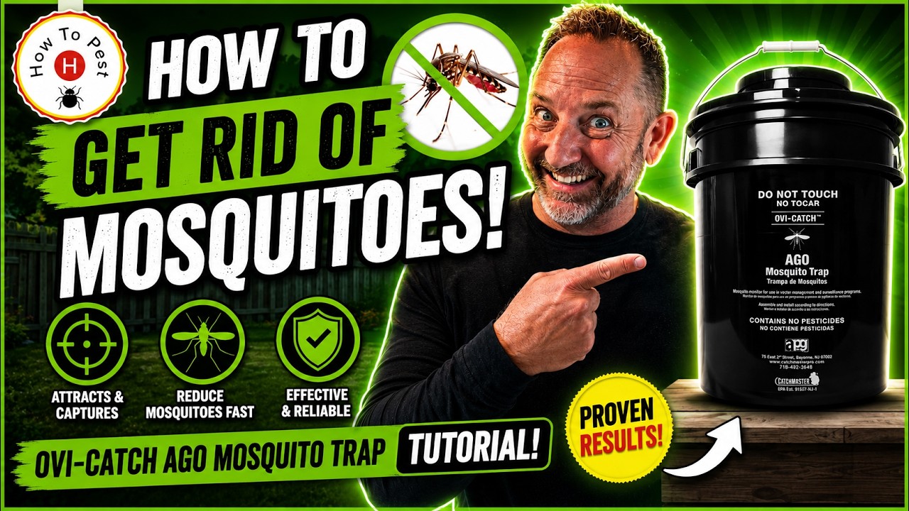 How to Get Rid of Mosquitoes | Ovi-Catch AGO Mosquito Trap Tutorial (DIY Guide)