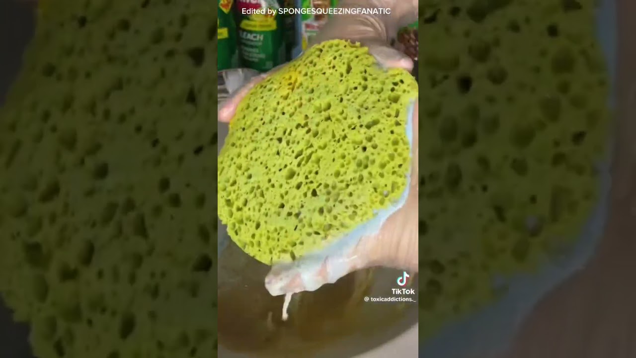 SPONGE SQUEEZING ASMR COMPILATION|8| - #spongeasmr #spongesqueezing #deepcleaning #relaxing #asmr