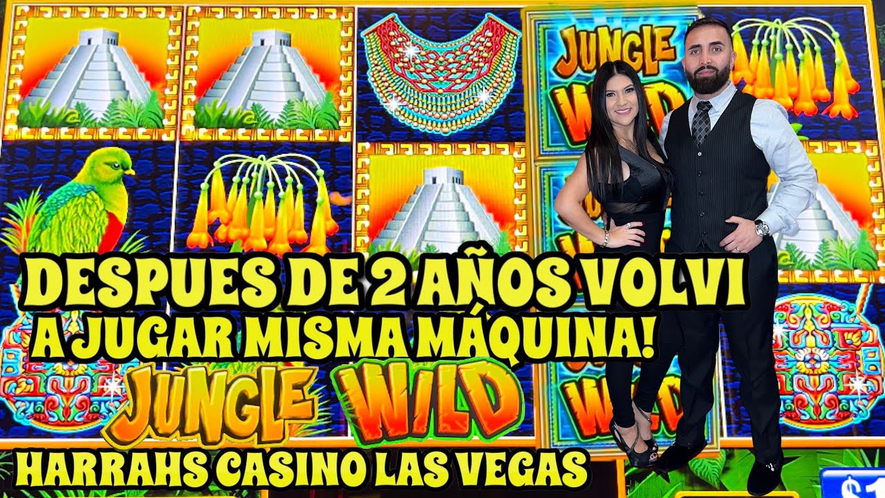 🌳 JUNGLE WILD MAX BET ! VOLVI A LA MISMA MAQUINA DESPUES DE 2 AÑOS
