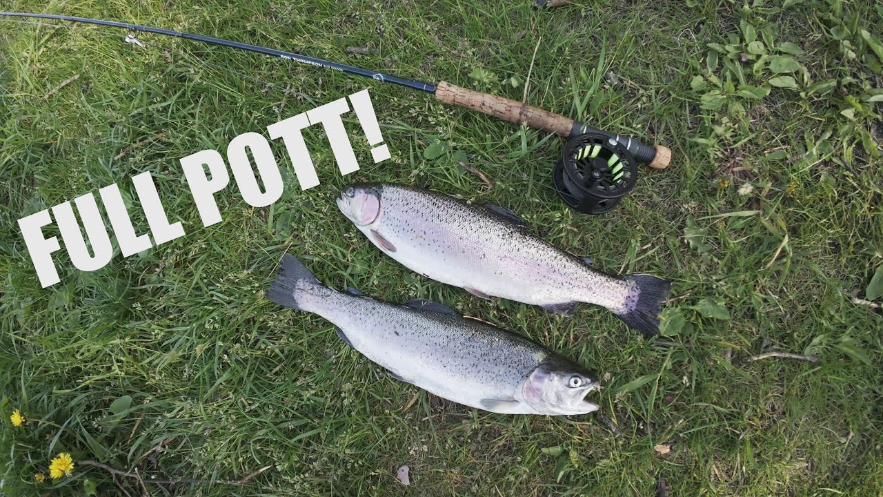 Full pott på regnbåge i Sandasjön! | Fiskefokus