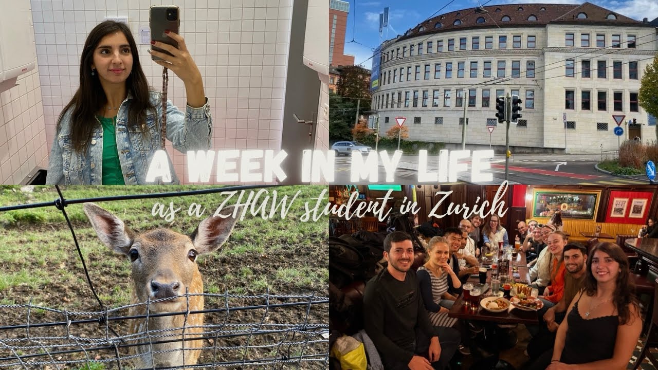 week in the life of a swiss business student | ZHAW uni, nights out and more🇨🇭