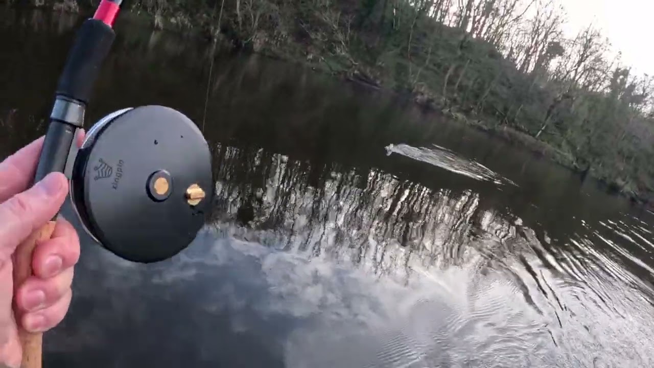 Christmas Barbel On The Float