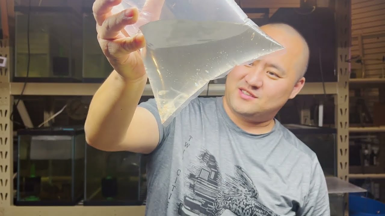 New Fish Unboxing!