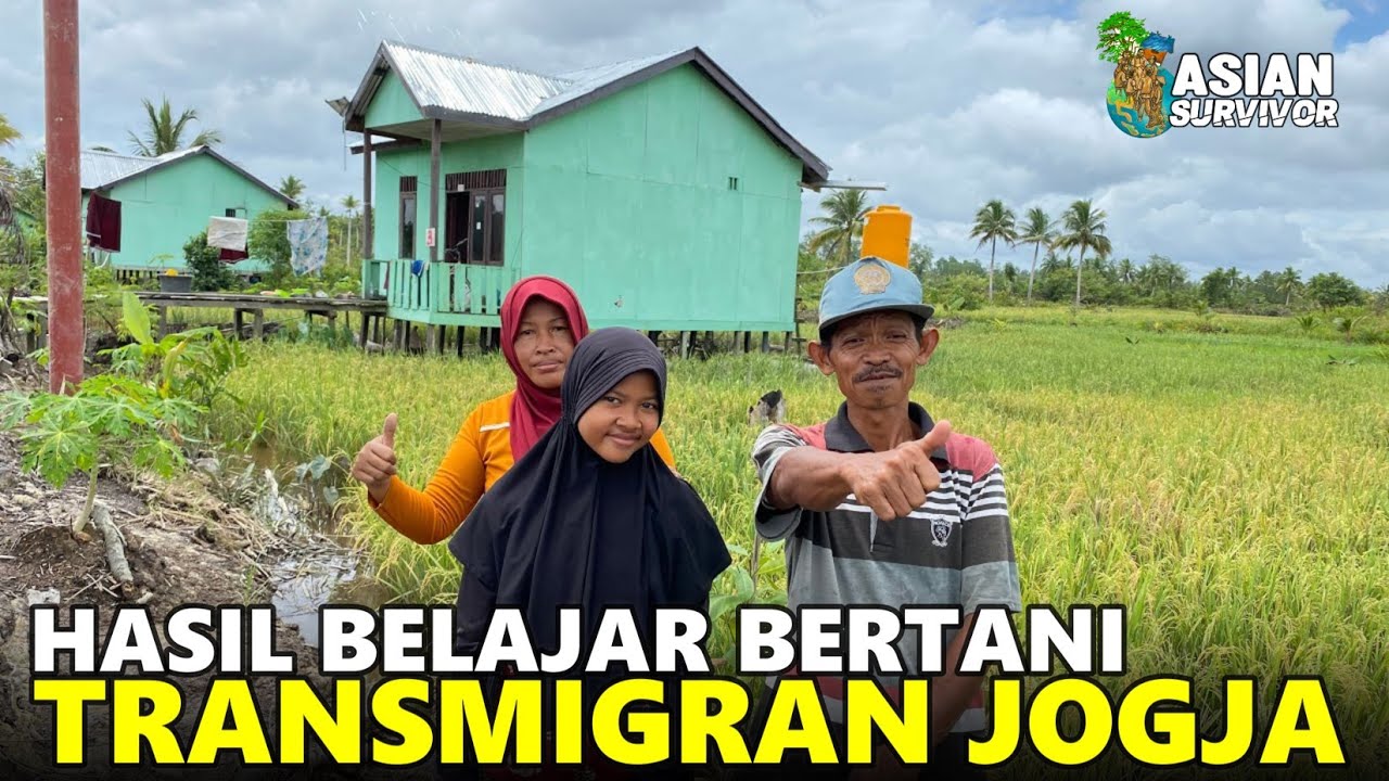 CERITA PETANI BARU ASAL JOGJA! PAK AGUS BELAJAR BERTANI DI LAHAN TRANSMIGRASI BARU SP10 TANJUNG BUKA