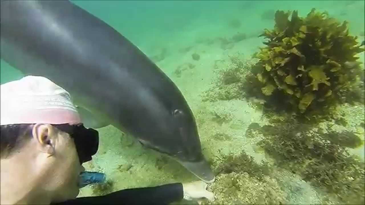 Cabbage Tree Bay Reserve Compilation
