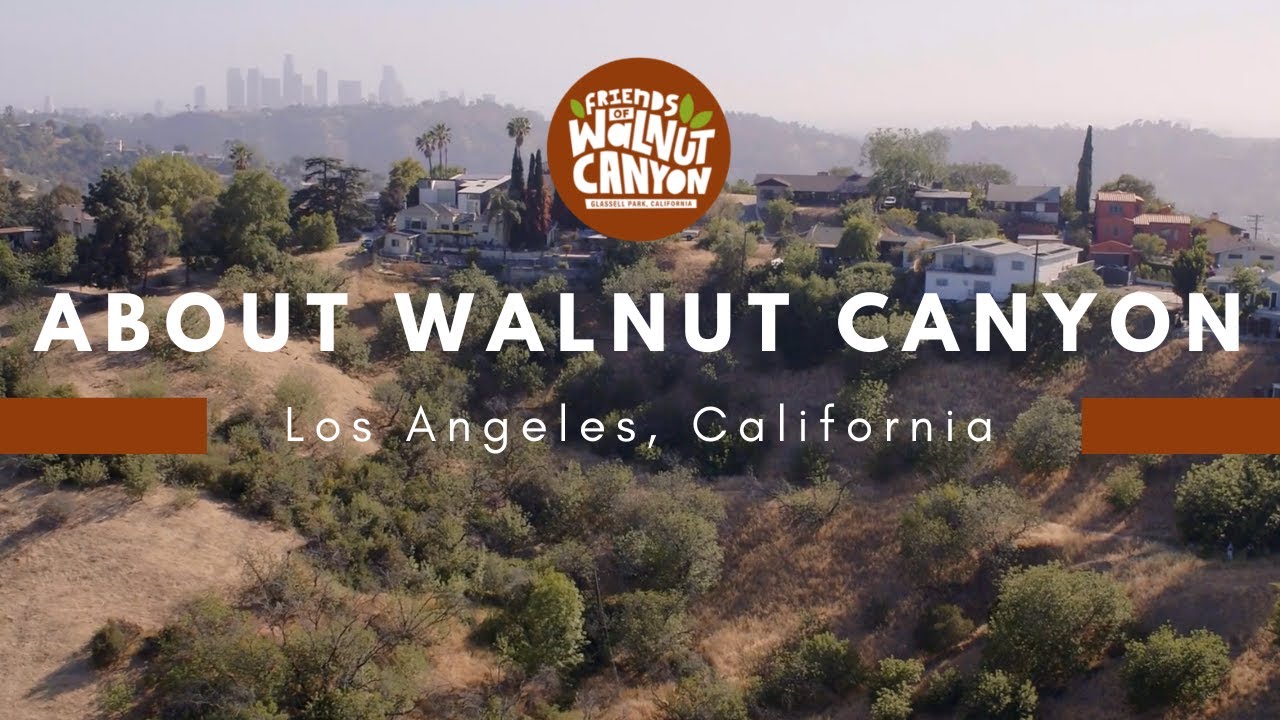 About Walnut Canyon - Glassell Park, Los Angeles #greenspace #nativeplants