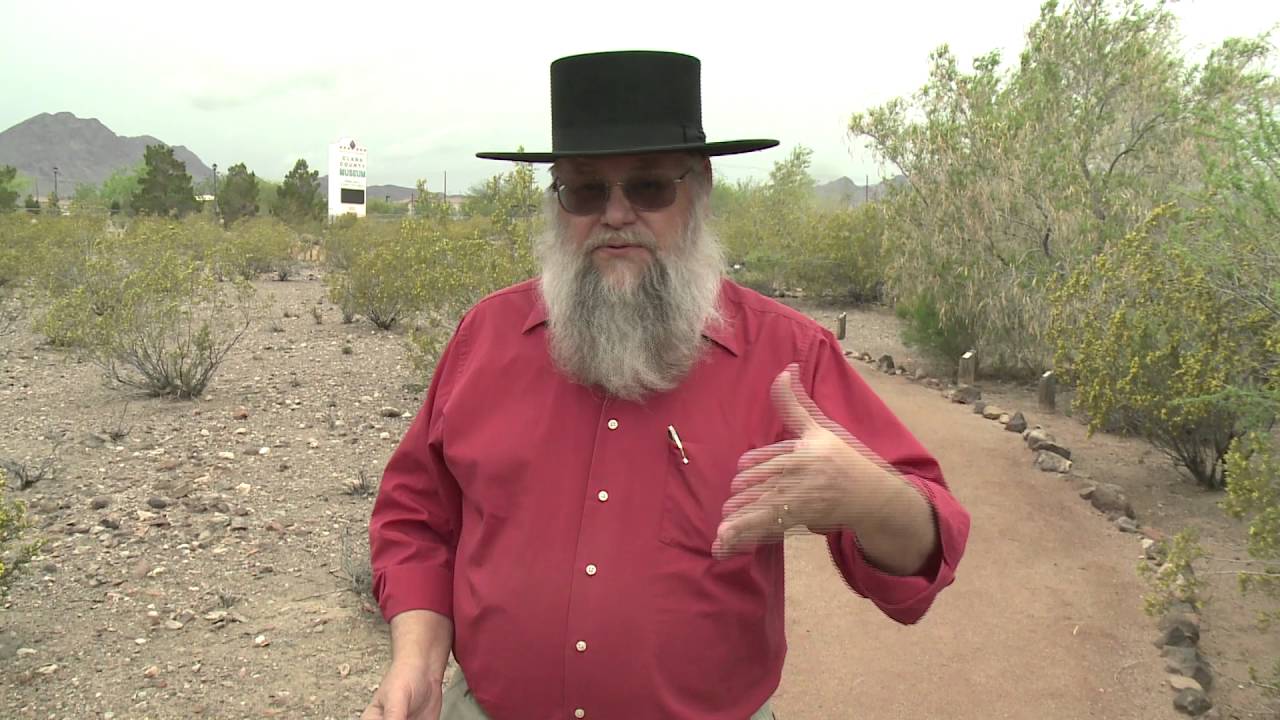 Creosote Ubiquitous Across the Mojave Desert